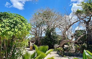 Baobab Bungalows