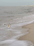 4005 Rookery 3 Sea Story With 2 Pools Beach Access and Lots of Beach A