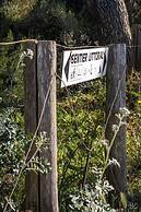 Villa de La Madrague – Presqu’île de Giens