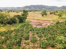 Mango Tree Retreat