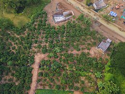 Mango Tree Retreat