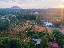 Mango Tree Retreat