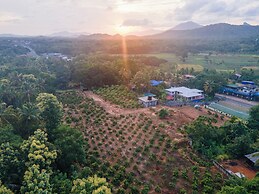 Mango Tree Retreat