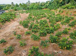 Mango Tree Retreat