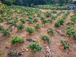 Mango Tree Retreat