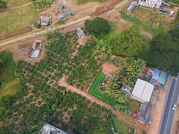 Mango Tree Retreat