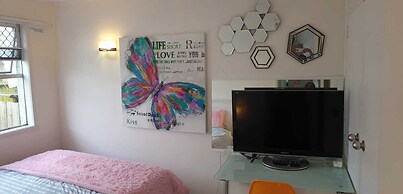 waterview Room and cabin