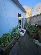 waterview Room and cabin