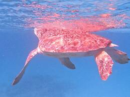 Modern Trestrapi Beach Villa 8 bed 8 Bath 2 Pools