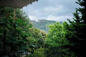 Disha plantation Resort