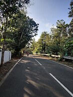 Disha plantation Resort