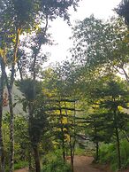 Disha plantation Resort