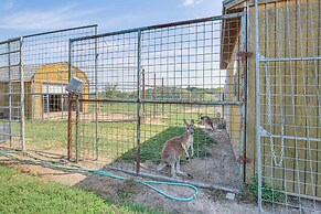 Exotic Animal Farm Stay in Illinois: Tour, Explore