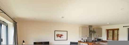 Host Stay Number Two Piglets