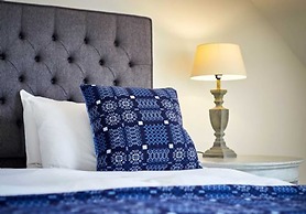 Host Stay Number One Piglets