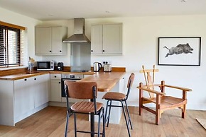 Host Stay Number One Piglets