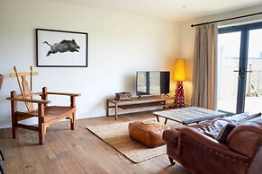 Host Stay Number One Piglets