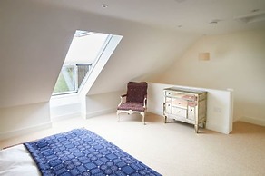 Host Stay Number One Piglets