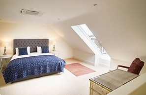 Host Stay Number One Piglets