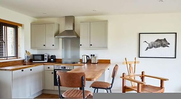 Host Stay Number One Piglets