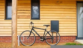 Host Stay Number One Piglets