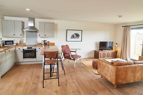 Host Stay Number Four Piglets