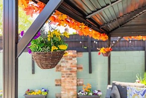 Host Stay Dragons Rest