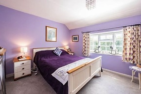 Host Stay Sandpipers