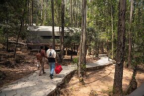Kuriftu Entoto Adventure Park