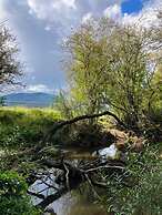 One Wee Cottage, A Romantic Secluded Provincial Abode Surrounded by Vi