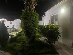 hotel arabesque
