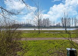 Bungalow by Water Near Rotterdam
