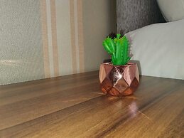 Comfortable Homestay in Stoke