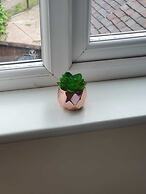 Comfortable Homestay in Stoke