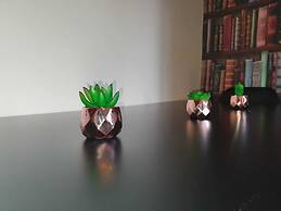 Comfortable Homestay in Stoke