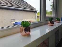 Comfortable Homestay in Stoke