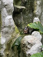 Baan Debtida