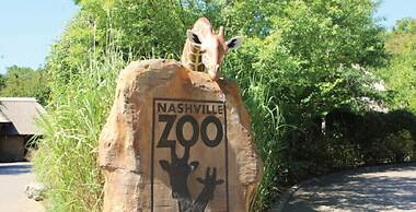 116 The Music Valley House