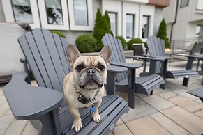 Eagle Nest House in Nashville