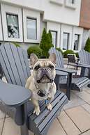 Eagle Nest House in Nashville