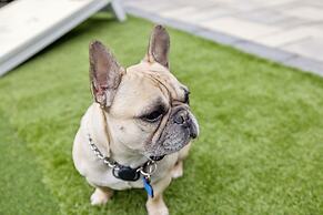 Eagle Nest House in Nashville