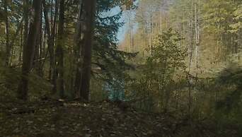Emrose Luxury Cabins