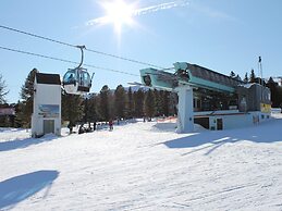 Spacious Apartment Near ski Area