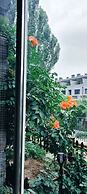 ATRIUM FENGZHU HOMESTAY