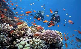 Hoi An Tháng 1 Villa