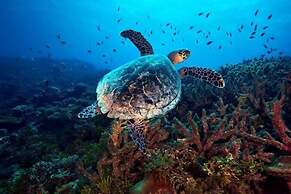 Bon Abri maldives