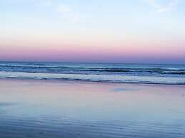 Beach View Oceanfront Condo in Ponce Inlet FL