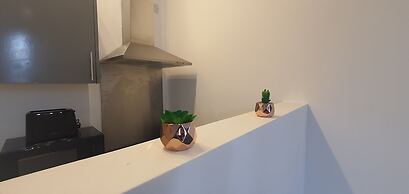 Luxury City Flat in Leicester