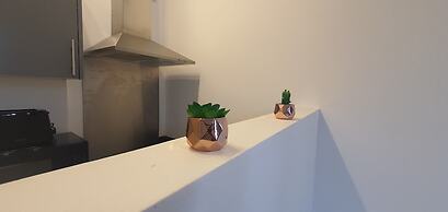 Big one Bedroom Apartment