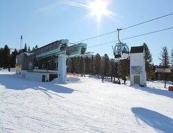 Lively Apartment Near the ski Area
